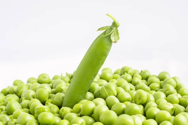 Zelený Hrachový Lusk Trčící Hromady Hrášku Koncepce Bio Potravin — Stock fotografie