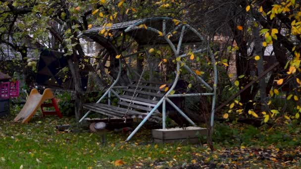Yard Swing Apple Tree Garden Autumn Season — 비디오