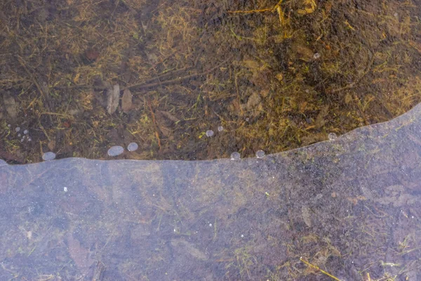 Transparent ice mirror in puddle in frosty weather