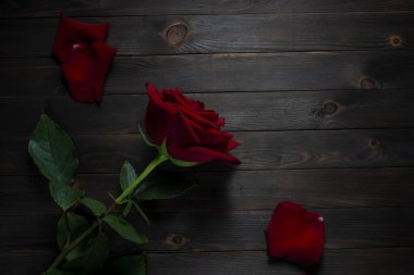 Kırsal ahşap arka planda kırmızı gül yaprakları ve kırmızı gül çiçeği