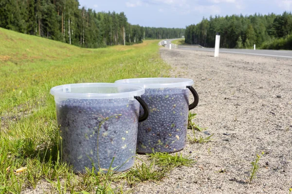 Vilda Blåbär Plasthinkar Vägarna Skogen Solig Sommardag — Stockfoto