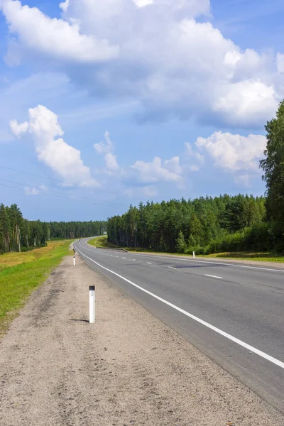 Autostrada Lesie Sosnowym Rosji Słoneczny Letni Dzień — Zdjęcie stockowe