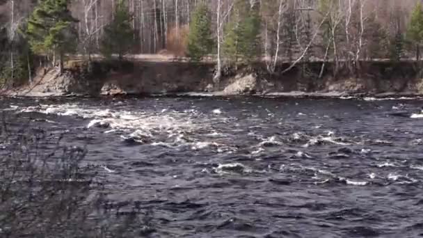 Річкові Потоки Весняного Сезону — стокове відео