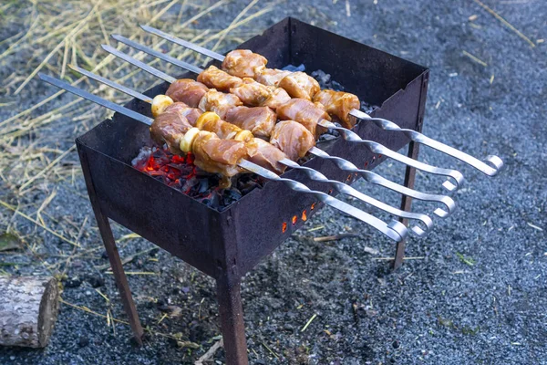 Шашлыки Сочным Маринованным Мясом Гриле Гриле Пикника — стоковое фото