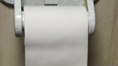 Tuvaletteki tuvalet kağıdı parçalarını ellerimle yırttım.