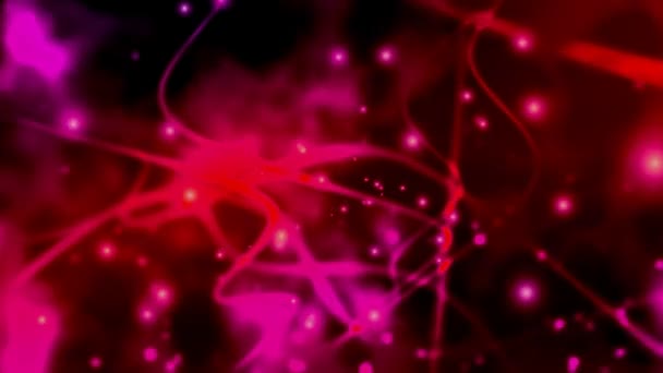 Červené abstraktní světlice s růžová — Stock video
