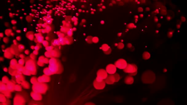 Red light bulb wave — Stock Video