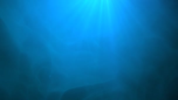 sous la mer