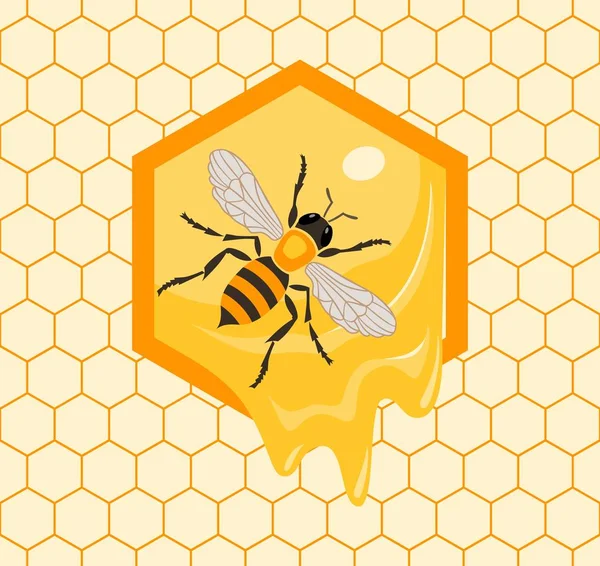 Bienen sitzen auf Waben. farbenfrohe nahtlose Muster. — Stockvektor