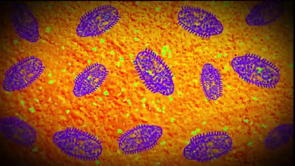 Micróbios ou microrganismos. Ver através de um microscópio. Desenhos animados fundo . — Vídeo de Stock