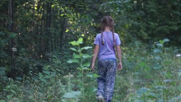 Girl Walks Alone Forest — Stock Video