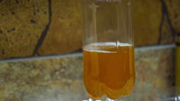 Das Bier wird in die Flasche gegossen — Stockvideo