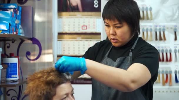 Friseur arbeitet mit dem Kunden — Stockvideo