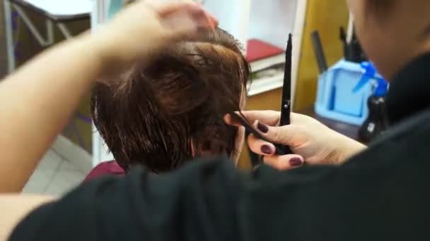 Stylist penteia seu cabelo — Vídeo de Stock