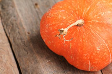 Ahşap üzerine kabak