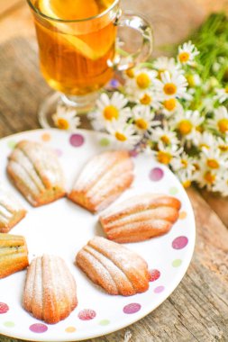 Vanilya tatlı kurabiye Madeleine