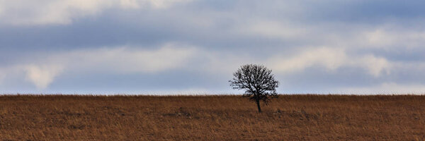 Лоне Три Хилл
