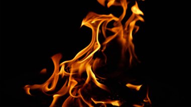 Arka plan için vahşi ateş.