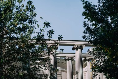 Güneş ışığı altında bir ağacın arkasında antik sütunlar