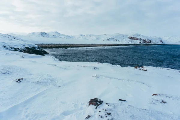Pobřeží Severního oceánu je pokryta ledem na zimní mrazivý den během expedice — Stock fotografie