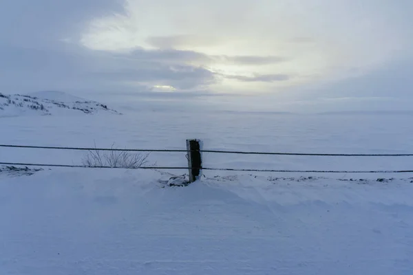 Śnieżna Tundra zimą w regionie Murmańsk wszystkie białe — Zdjęcie stockowe