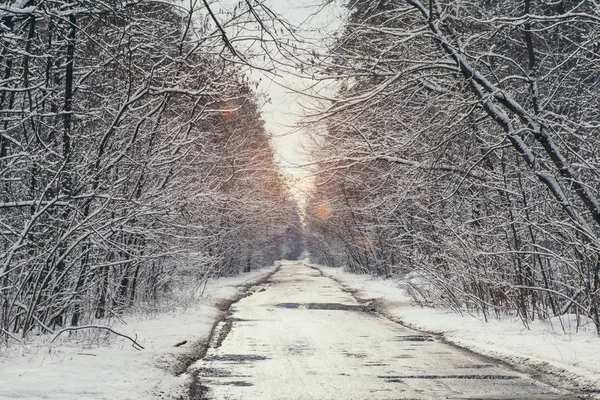 Sluneční Světlo Zasněženém Parku Cesta Zimě — Stock fotografie