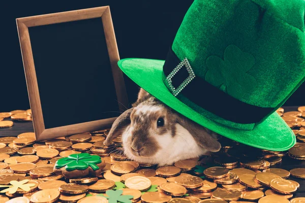 Domestic Rabbit Sitting Golden Coins Green Hat Patricks Day Concept — Stock Photo, Image