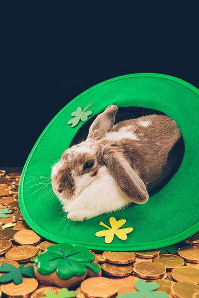 Kelinci Domestik Tergeletak Topi Hijau Pada Koin Emas Patricks Konsep — Foto Stok Gratis