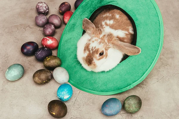 High Angle View Domestic Rabbit Lying Green Hat Easter Eggs — Stock Photo, Image