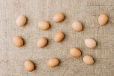 kahverengi yumurta scatterd Sim Tarih