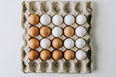 Beyaz ve kahverengi yumurta yumurta kartonu beyaz arka plan üzerinde döşeme  