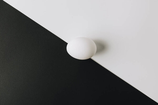 white egg laying in middle of black and white background 