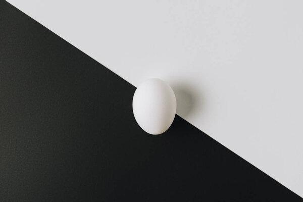 white egg laying in middle of black and white background 