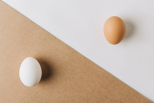 white egg laying on brown carton and brown egg on white background