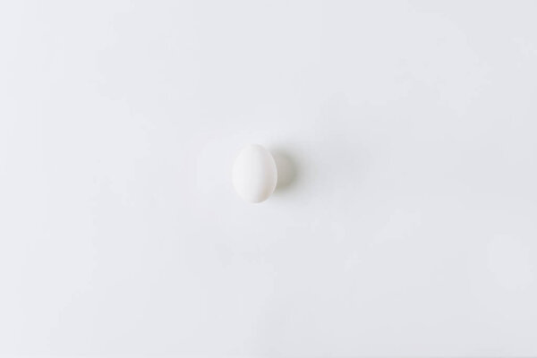 white egg laying on white background