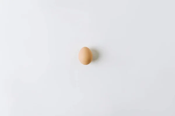 Коричневое Яйцо Откладывается Белом Фоне — стоковое фото