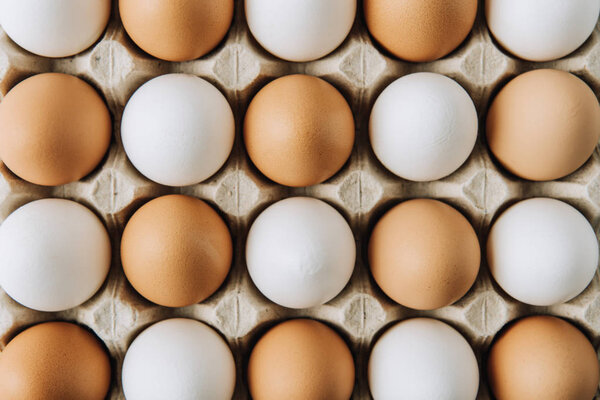 белые и коричневые яйца откладывают в коробку с яйцами, полный кадр
 