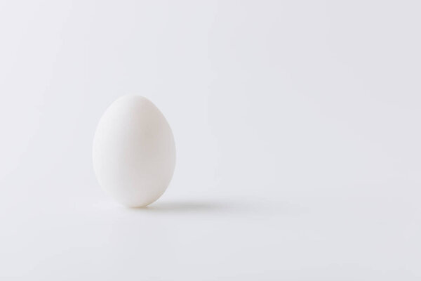 откладывание белого яйца на белом фоне
