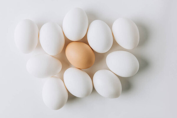 white eggs and one brown laying on white background