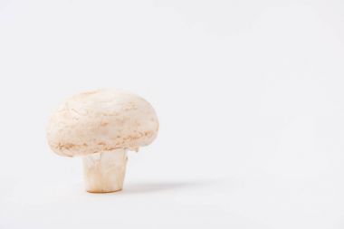 Beyaz arka plan üzerinde döşeme ham champignon mantar