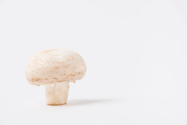 Cru Champignon Cogumelo Que Coloca Fundo Branco — Fotografia de Stock