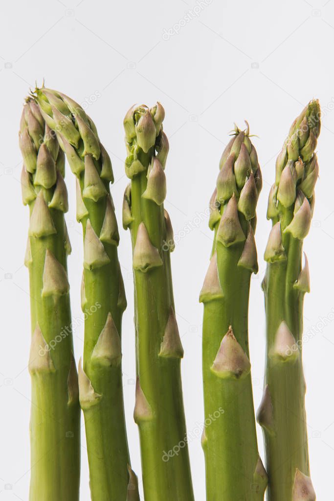 green raw asparagus isolated on white background 