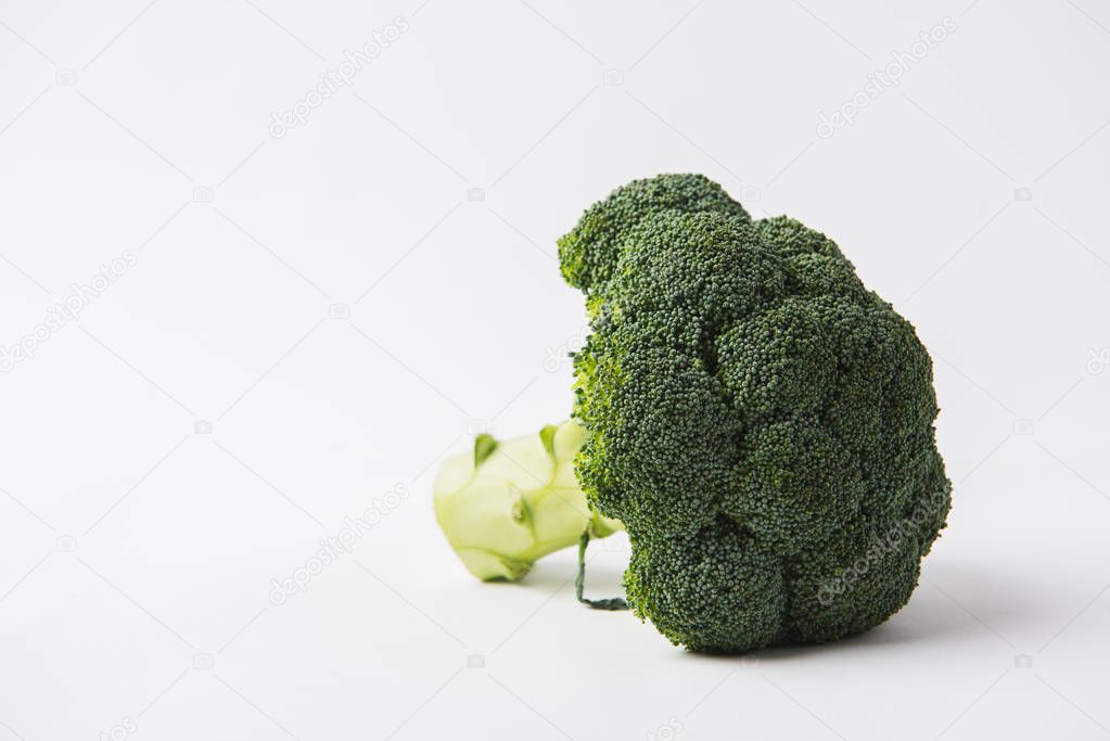 green raw brocolli laying on white background  