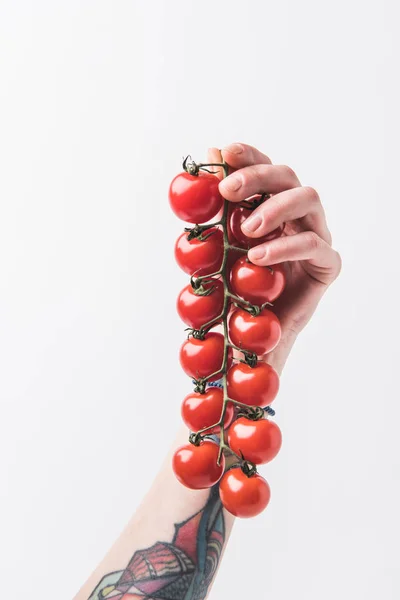 ミニトマトは 白い背景で隔離の支店を持っている手 — ストック写真