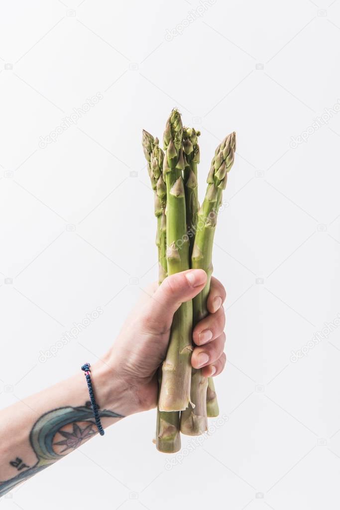Hand holding green asparagus stalks isolated on white background