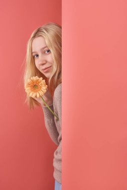 happy young woman with gerbera flower peeping behind wall on red clipart