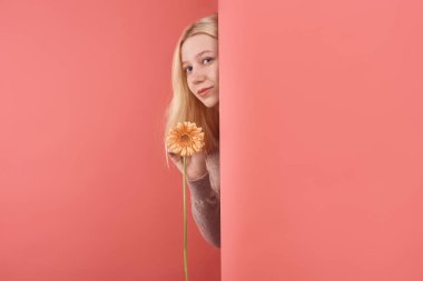 Kırmızı duvarın arkasında çiçek gerbera gözetleme ile güzel ve genç birbayan