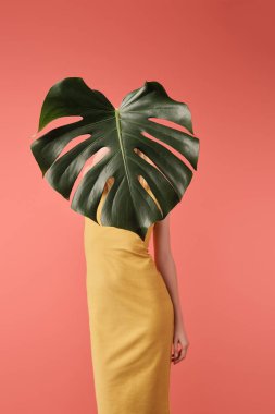 kadın kırmızı izole monstera yaprak ile yüz kapsayan