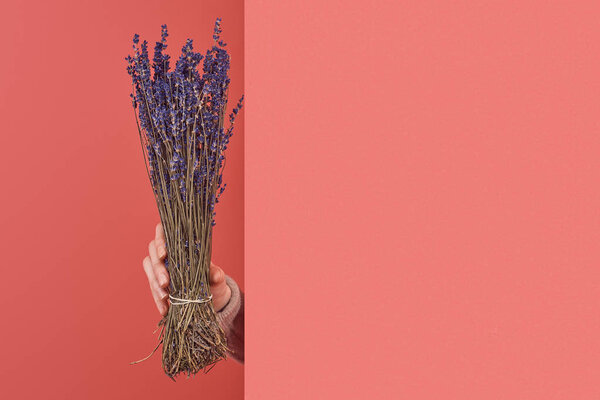 woman sticking out bouquet of lavender flowers behind wall on red
