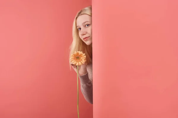Belle Jeune Femme Avec Gerbera Fleur Espionnant Derrière Mur Sur — Photo